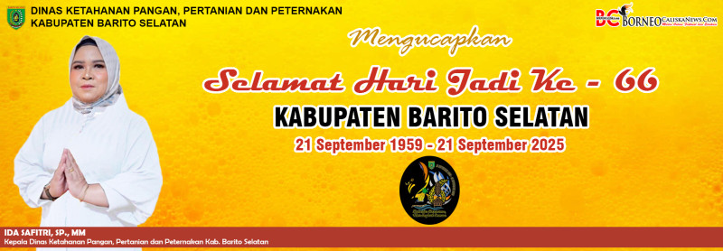 IDA SAFITRI